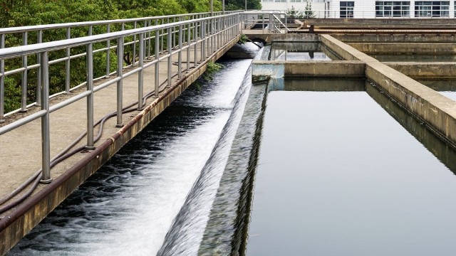 屠宰场污水泡沫的危害及处理办法